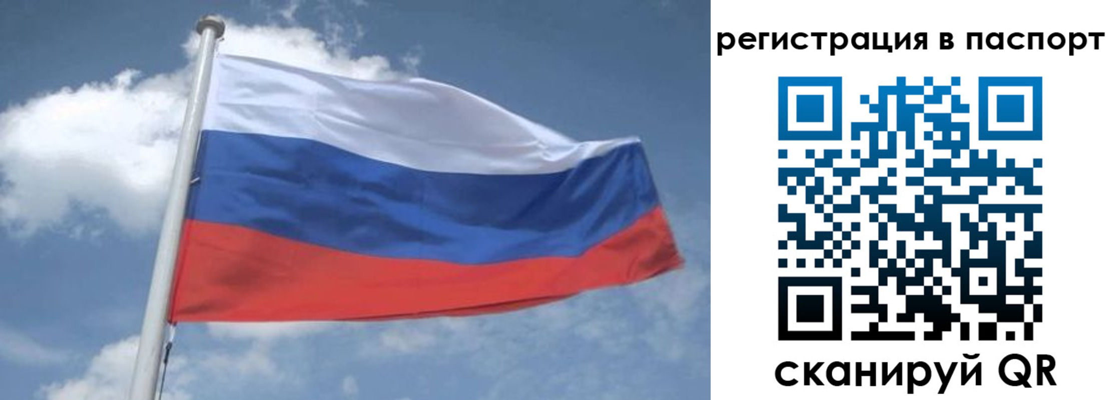 временная регистрация надежно в Таре